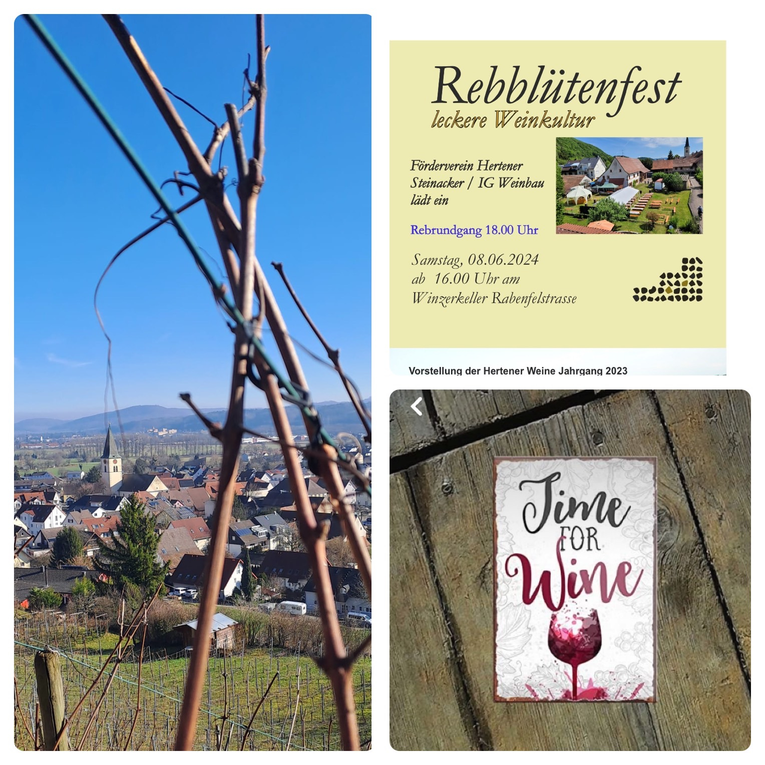 Rebbluetenfest