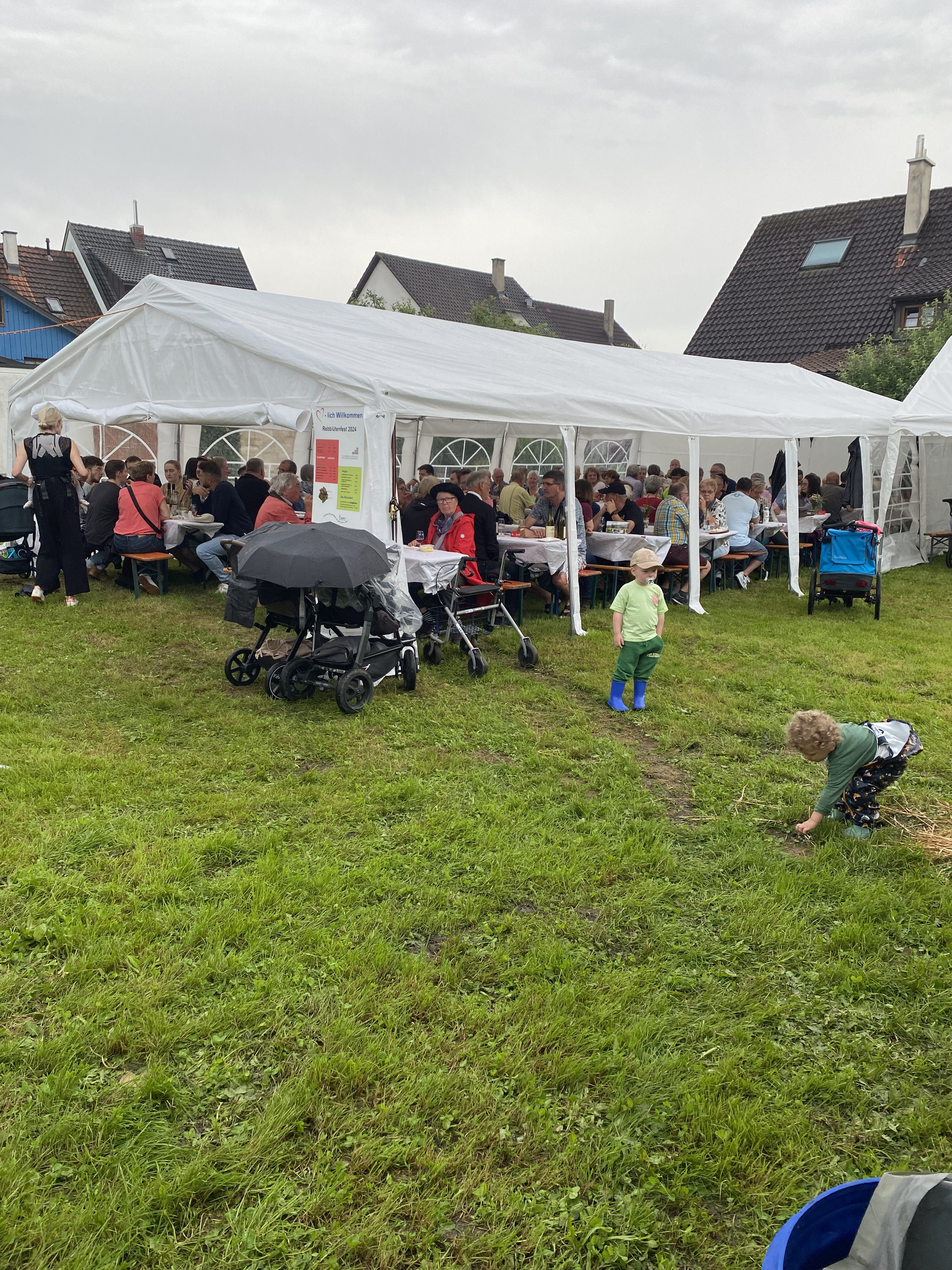 Reblütenfest
